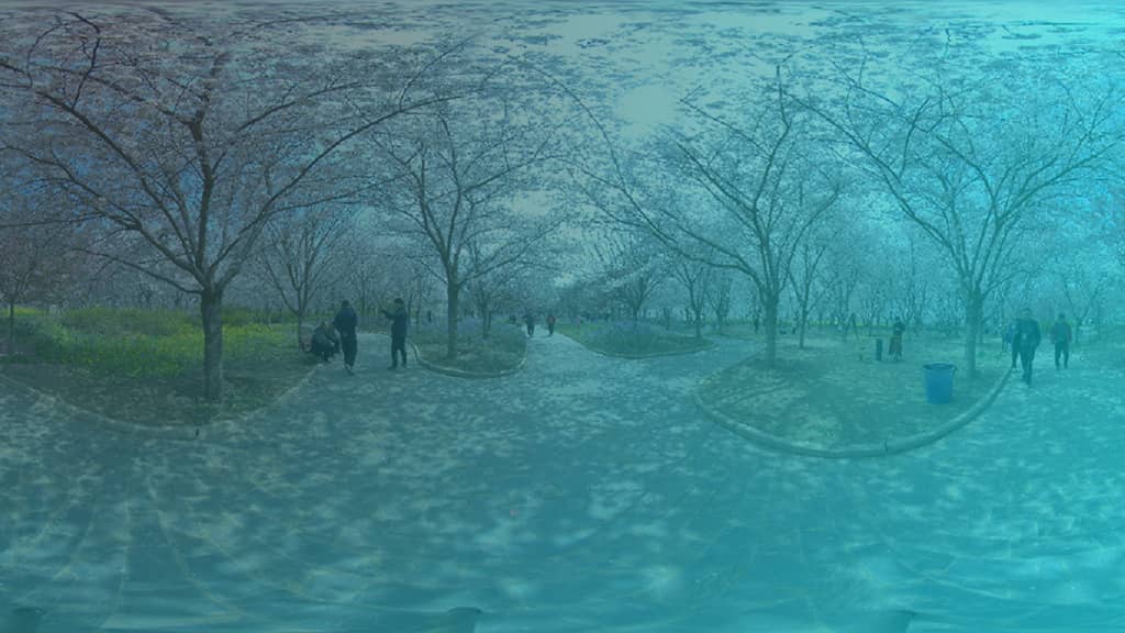 河南电视台